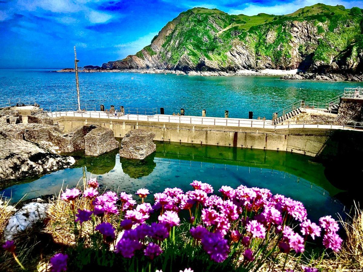 Palm Court B&B Ilfracombe Esterno foto